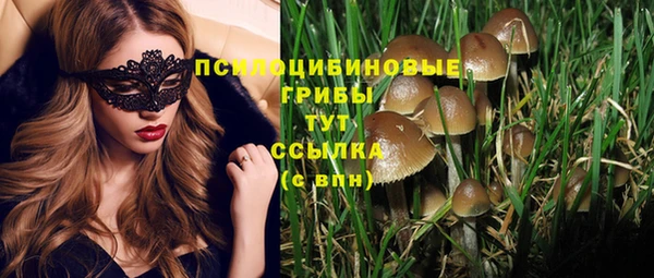 ECSTASY Алексеевка