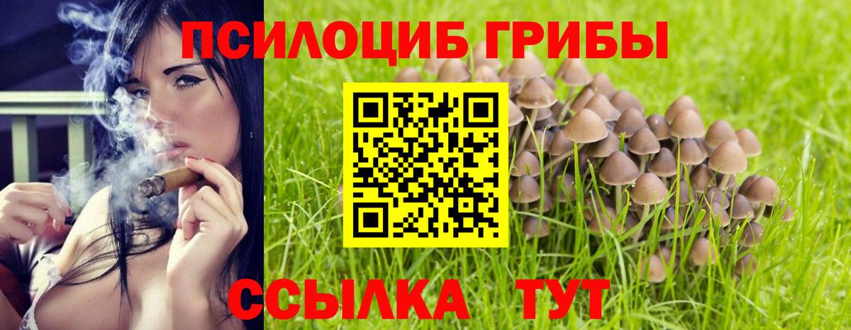 Псилоцибиновые грибы Magic Shrooms Сухой Лог