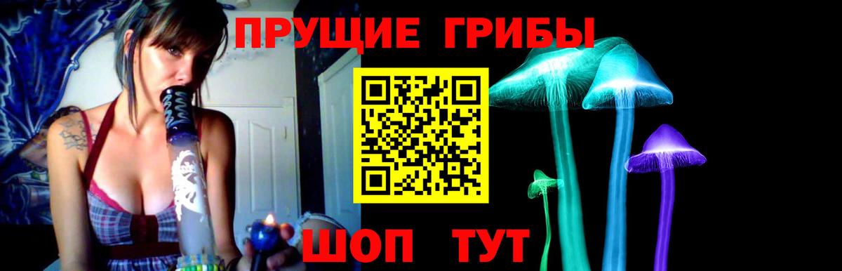 Псилоцибиновые грибы ЛСД  купить  цена  Сухой Лог  Вход с VPN 
